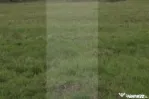 Teren intravilan, 685 mp, zona Cismea - Botosani