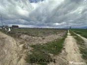 Teren intravilan 520 mp Harman 