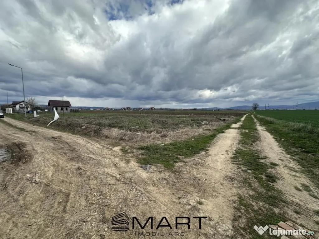 Teren intravilan 520 mp Harman