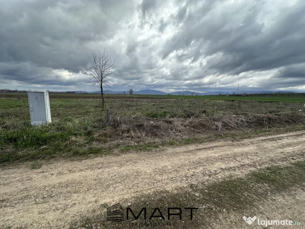 Teren intravilan 520 mp Harman