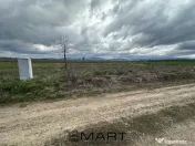 Teren intravilan 520 mp Harman 