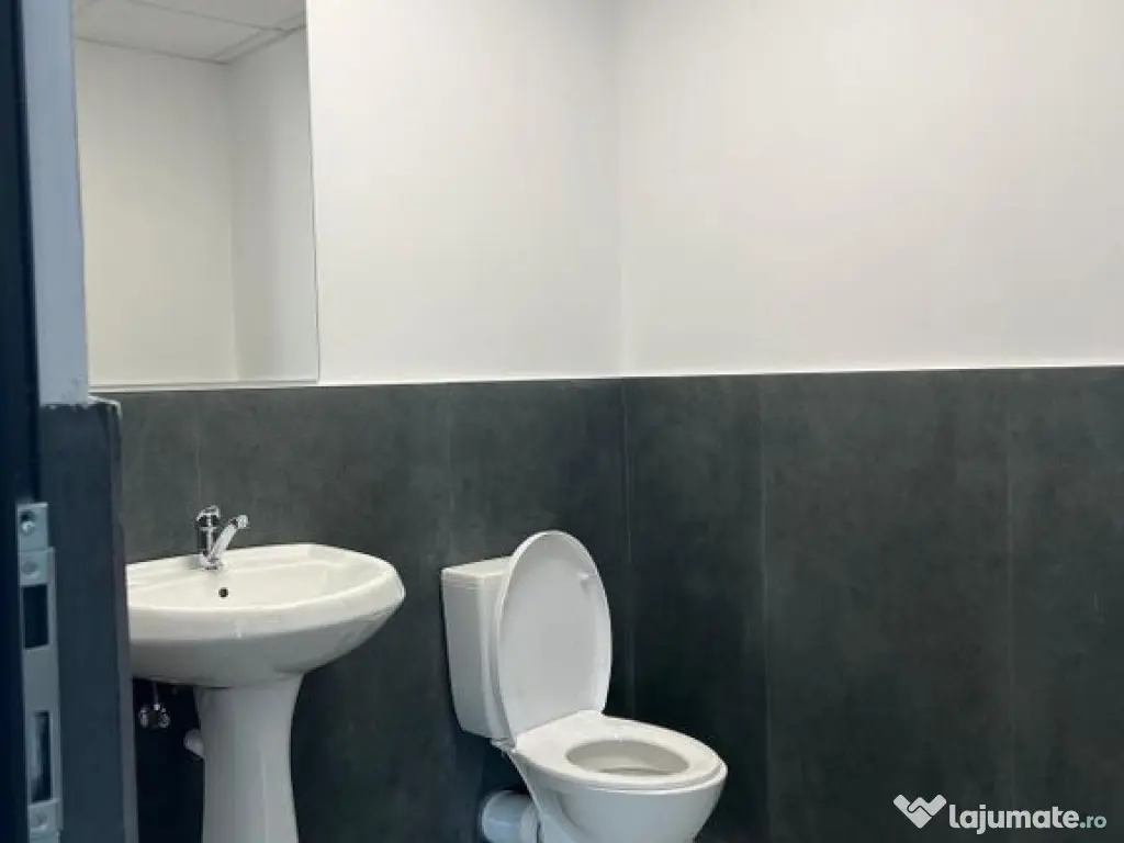 Hala depozitare si productie 1550 mp. Mogosoaia - Buftea