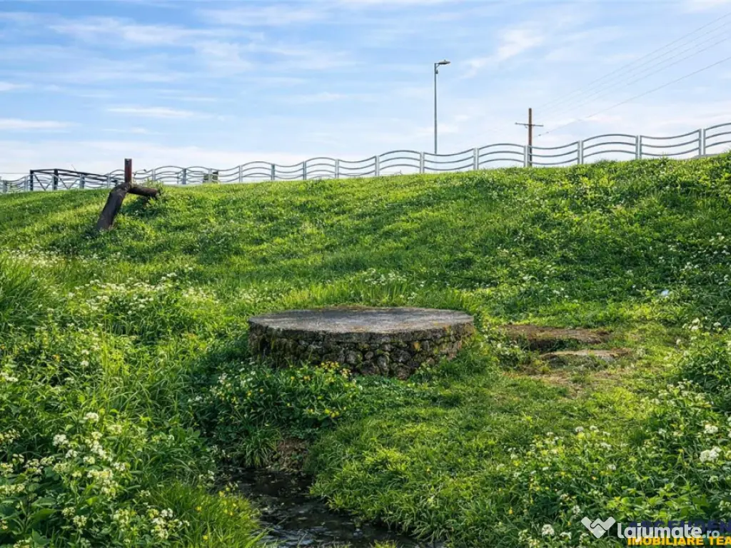 Teren extravilan 1450 mp, din care curti constructii 312 mp,