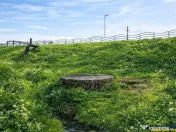 Teren extravilan 1450 mp, din care curti constructii 312 mp, 