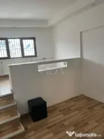 Apartament 5 camere în Vilă – Calea Călărașilor, 110m