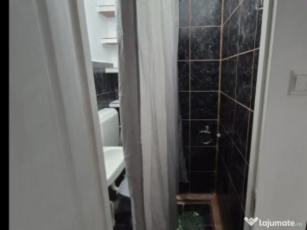 Brancoveanu confort 3 etaj 3