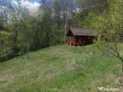 Casa imbratisata de padure + cabanuta de vara - Valea Ursulu 
