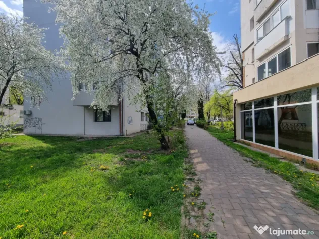 Apartament 2 camere decomandate, spațios- Centru, Petru Rar