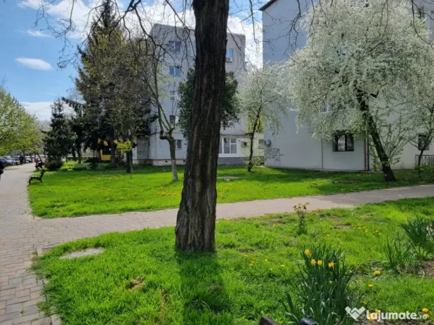 Apartament 2 camere decomandate, spațios- Centru, Petru Rar
