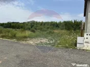 VANZARE Teren intravilan 1120 mp Balotesti / Strada Prima... 