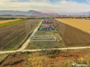 0% Comision | Teren 650 mp | Sacele, Str. Venus | INTRAVILAN 