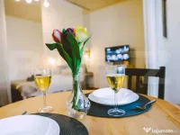 Garsoniera de vanzare, 28 mp, zona BIG!