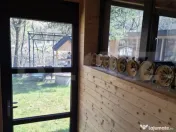 Casa de vacanta 4 camere, 100 mp, teren 768 mp, Dealu Mare, 