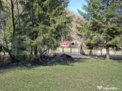 Casa de vacanta 4 camere, 100 mp, teren 768 mp, Dealu Mare, 