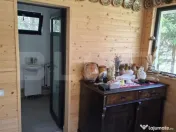 Casa de vacanta 4 camere, 100 mp, teren 768 mp, Dealu Mare, 