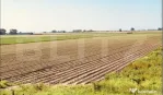 Teren arabil de vanzare, 30.000 mp - Bethausen
