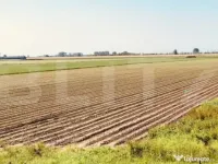 Teren arabil de vanzare, 30.000 mp - Bethausen 