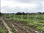 ???? Teren intravilan 19.650 mp, 65 ml deschidere – 3 acce 