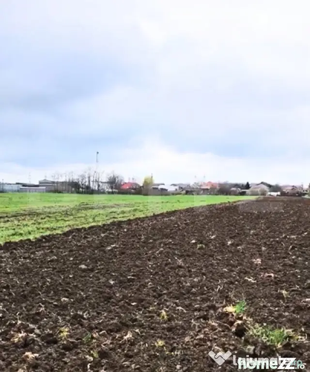 ???? Teren intravilan 19.650 mp, 65 ml deschidere – 3 acce