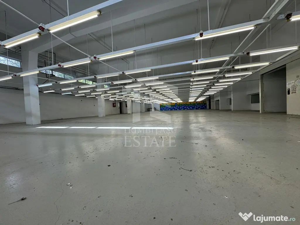 Hala productie P+1 si apartament de serviciu Navodari - c...