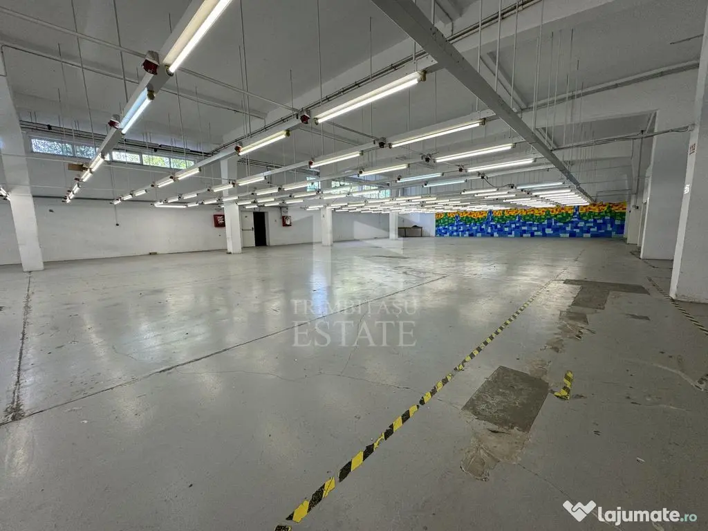 Hala productie P+1 si apartament de serviciu Navodari - c...