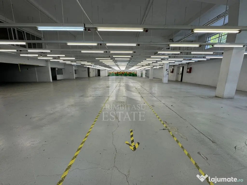 Hala productie P+1 si apartament de serviciu Navodari - c...