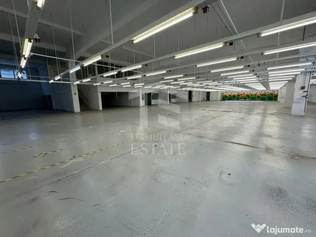Hala productie P+1 si apartament de serviciu Navodari - c...