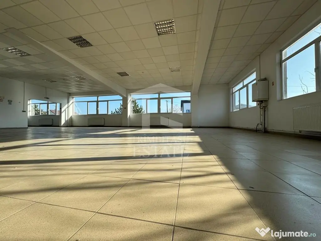 Hala productie P+1 si apartament de serviciu Navodari - c...