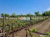 Teren in Poienari Apostoli, 21 E/mp, Avantajos, DN1, 34.500 