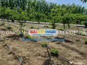 Teren in Poienari Apostoli, 21 E/mp, Avantajos, DN1, 34.500 