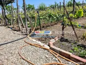 Teren in Poienari Apostoli, 21 E/mp, Avantajos, DN1, 34.500 