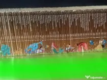 colecția de AUR Disney