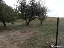 Teren intravilan Chicerea