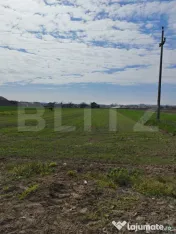 Teren intravilan 1000 mp, in Mihai Viteazu 