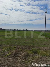 Teren intravilan 1000 mp, in Mihai Viteazu