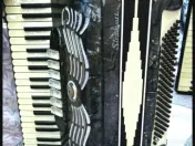 Acordeon italian stradivari. 
