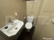 Garsonieră de închiriat, 15 mp, zona Carpați II 