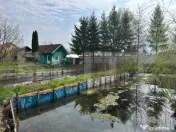 Investitie: Casa cu teren constructii si pastravarie - Prejm 