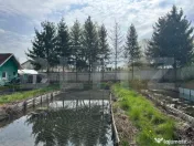 Investitie: Casa cu teren constructii si pastravarie - Prejm 