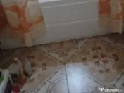 300 Euto Camere Decomandat Tomesti 