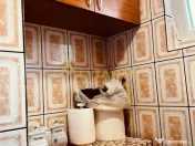 Apartament 2 camere || Aparatorii Patriei || 7 min metrou 