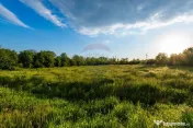 Teren intravilan 4.734 mp – Front 50 m, utilități la ... 