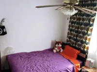 Casă + teren de vânzare! 