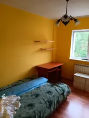 Elioconstruct Amenajări interioare și exterioare 