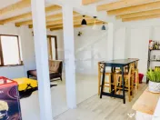 Vila sediu firma, 5 camere, 240 mp 