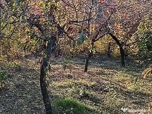 Casa bătrânească Văleanca-Vilănești Breaza Buzău