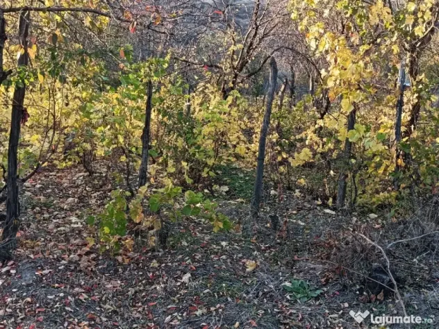 Casa bătrânească Văleanca-Vilănești Breaza Buzău