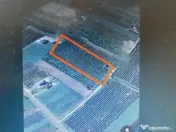 Oportunitate teren intravilan Somcuta Mare 