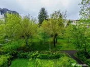 Apartament cu 3 camere de vanzare Victor Babeș etaj 1 