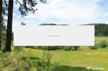 Teren de vanzare intravilan c